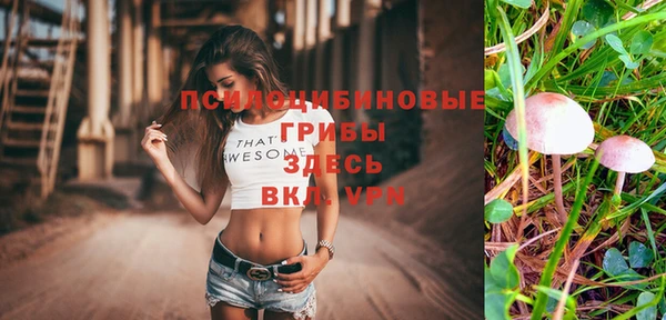 метадон Арсеньев