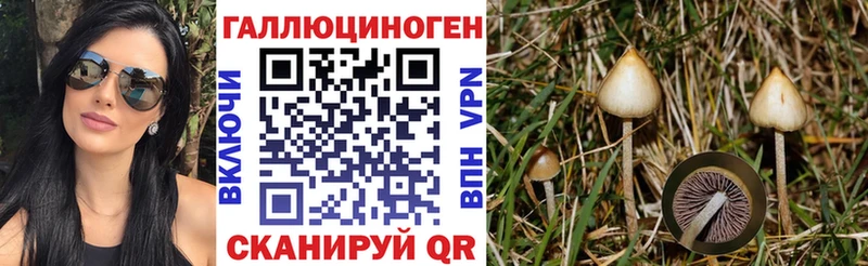 Псилоцибиновые грибы GOLDEN TEACHER  закладка  Краснотурьинск 